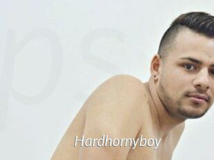Hardhornyboy