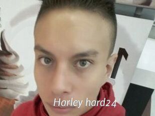 Harley_hard24