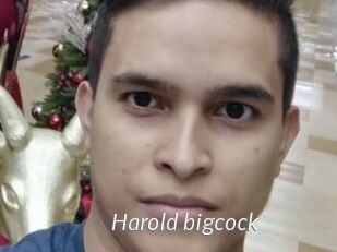 Harold_bigcock