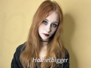 Harrietbigger