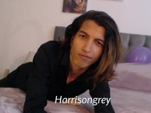 Harrisongrey