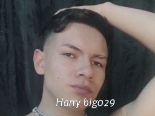 Harry_big029