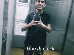 Harrybigdick