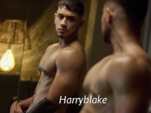 Harryblake