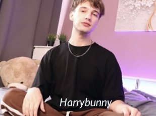 Harrybunny