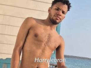 Harrylebron