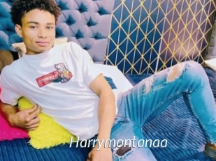 Harrymontanaa