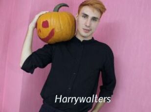 Harrywalters
