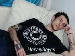 Harveyhayes