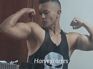 Harveytorres