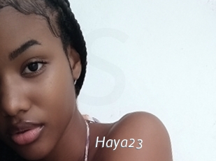 Haya23