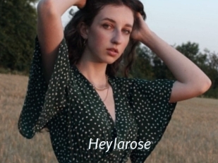 Heylarose