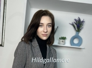Hildgallamore