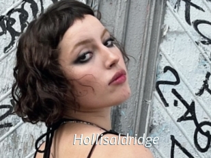 Hollisaldridge