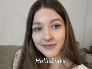 Hollisbarks