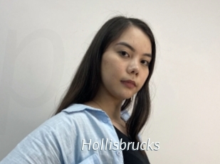 Hollisbrucks