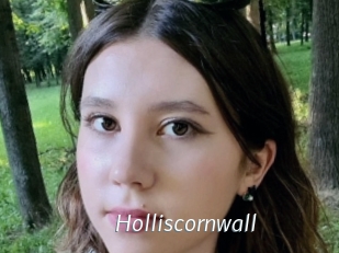 Holliscornwall