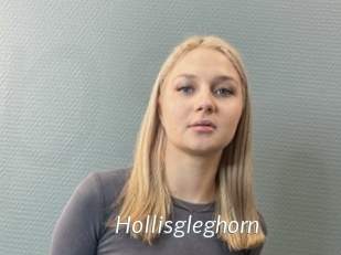 Hollisgleghorn