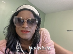Hollydaisy