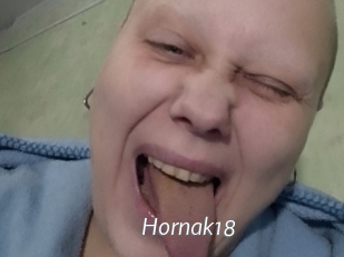 Hornak18