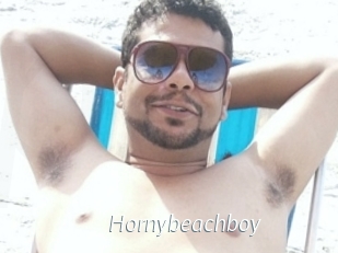 Hornybeachboy