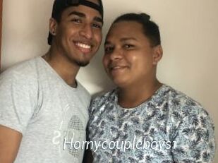 Hornycoupleboys1