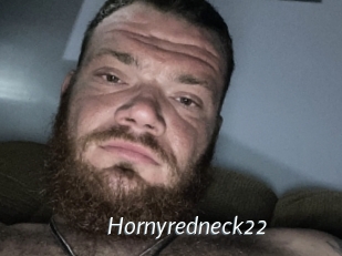 Hornyredneck22