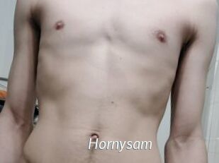 hornysam Porn Star
