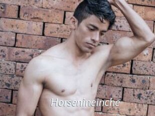 Horsenineinche