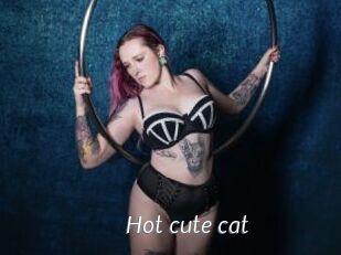 Hot_cute_cat