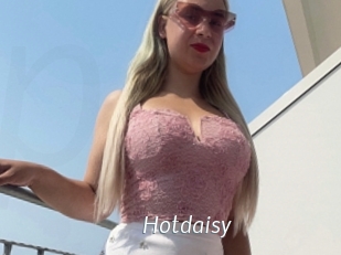 Hotdaisy