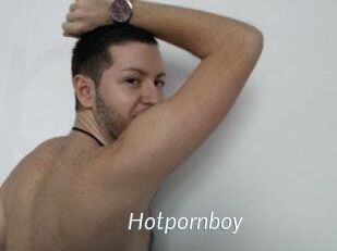Hotpornboy