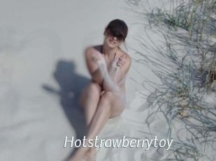 Hotstrawberrytoy