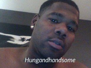 Hungandhandsome