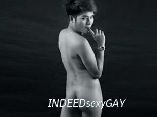 INDEEDsexyGAY