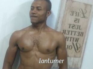 Ianturner