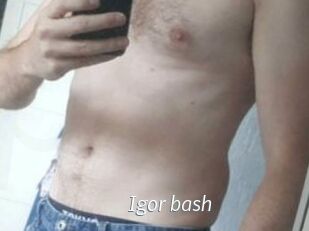 Igor_bash