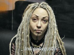 IndigoAvgustin