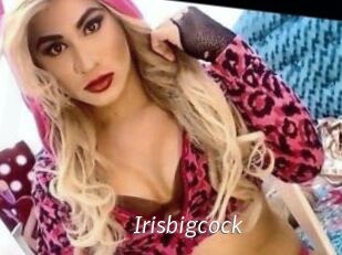 Irisbigcock