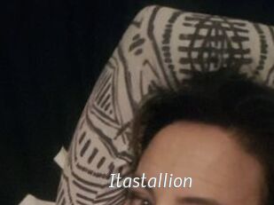 Itastallion