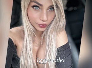 Iggymodel