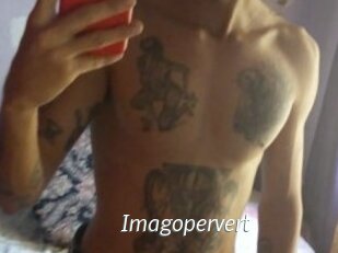 Imagopervert