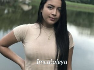 Imcataleya