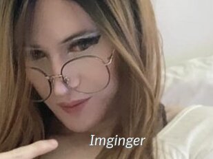 Imginger