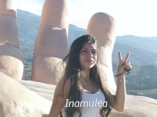 Inamulea