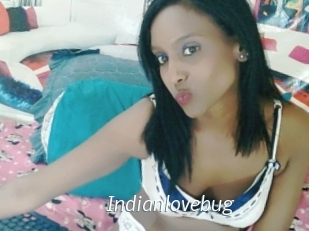 Indianlovebug