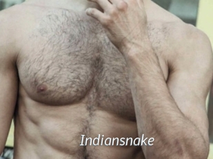 Indiansnake