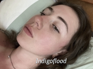 Indigoflood