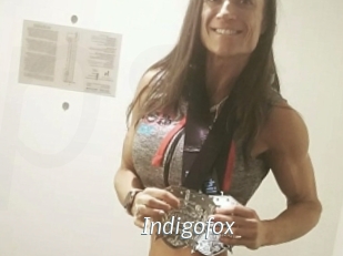Indigofox