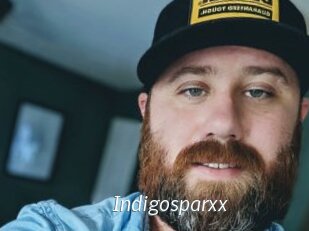 indigosparxx Porn Star